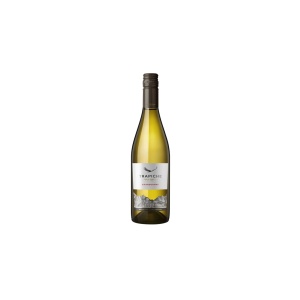 Trapiche Oak Cask Chardonnay Bottle (750 ml)
